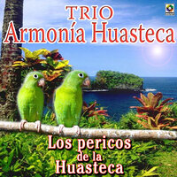 Palomita Tortolita - Trio Armonia Huasteca