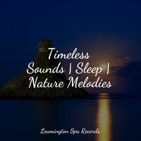 Music for Meditation and Relaxation - The Rainforest Collective & Deep Horizon Waves & Zen Meditate