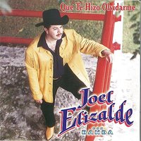 Que Te Hizo Olvidarme - Joel Elizalde