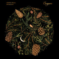 Swallow - Arina Mur