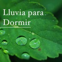 La Mente: Musica Ambiental para Relajar - Vitamin Therapy