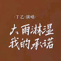 大雨淋湿我的承诺 - 丁乙