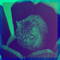 Pulsating Friendly Cats - Cat Music Experience