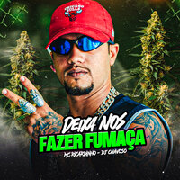 Deixa nos Fazer Fumaça - Mc Ricardinho & DJ Chavoso