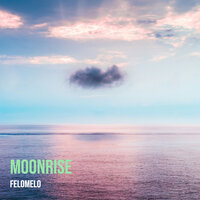 Swerving - Felomelo