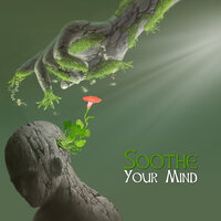Happiness & Joy - Calming Music Ensemble