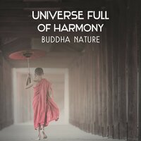 Poses of Yoga - Harmony Yoga Academy