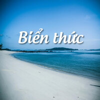 Chiều trên bến cảng - Tấn Minh