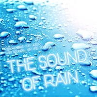 Noise Generator - Nature Sounds & Rain Sounds & Rain Sounds For Sleep