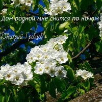 Дом родной мне снится по ночам - Дмитрий Гревцев