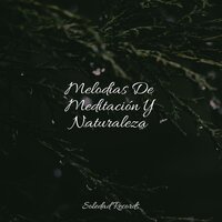 Ondas Fluctuantes - Sons da natureza HD & Canciones de Cuna 101 & Música Zen Relaxante