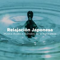 Soñando en Calma (Musica de Paz) - Musica Tranquila Maestro & Japanese Relaxation and Meditation & Japanese Relaxation and Meditation & Musica Tranquila Maestro