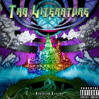 Cowboys VS. Indians In Outerspace - Christian Collins