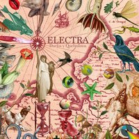Pura Vida - Electra