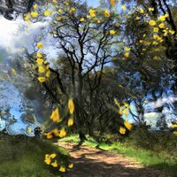 Skywards - Mikey