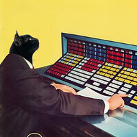 Is That Bird Real? - Kev La Kat