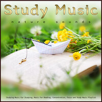 Study Music For Reading - Study Music & Studying Music & Easy Listening Background Music