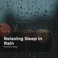 Pleasant Sleep in Rain - Rainfall For Sleep & Rain Man Sounds & Rain Shower