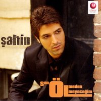 Kimsesizlerin Adamı - Sahin