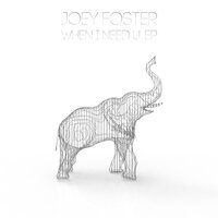 When I Need U - Joey Foster