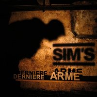 Plus les autres - Sim's