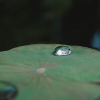 Calma Interior - El hada de las canciones de cuna & Unidad de música zen relajante & Musica Para Meditar