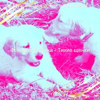 Звуки (Выгул собак) - Музыка для собак атмосфера
