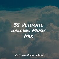 Vibes of the Cosmos - Exam Study Classical Music Orchestra & Pet Care Music Therapy & Alpha Waves