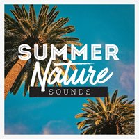 River Sounds: Winds Accross a Stream - Michael Hamilton