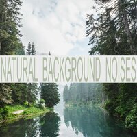 Natural Rain - Background Noise Lab