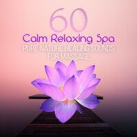 Serenity Day Spa, Rest - Day Spa Academy