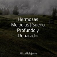 Bosque Crepúsculo - Ruido Blanco Para Bebes & Piano para Relajarse & Relajante Musica