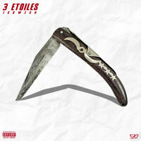3 étoiles - Icowesh