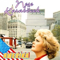 Bir Öpücük Bahşiş - Neşe Karaböcek