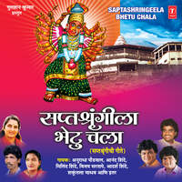 Sonyachi Sakhali Gali - Anand Shinde
