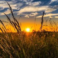 Chillout Piano Relax (Soothing Piano Relax) - Calm Piano Music & Relax Piano Music