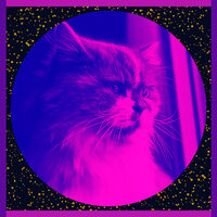 Trio Jazz Soundtrack for Cute Kitten - Cat Music