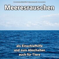 Meeresrauschen zur Erholung - Entspannungsmusik & Meeresrauschen & Meeresrauschen Ullrich Frühauf