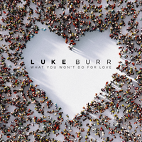 What You Won't Do For Love - Luke Burr