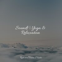 Beachside Ballads - Relaxed Minds & Mindfulness Mediation World & The Sleep Specialist