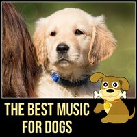 Relaxing Sounds - Pet Music Academy