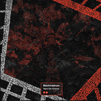 B Patient - Machinedrum