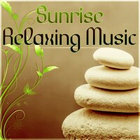 Pure Stillness - Five Senses Meditation Sanctuary