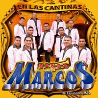 Eres Flor Eres Hermosa - Banda Marcos de Tejupilco México