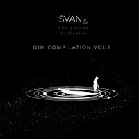 Wind of August - Svan & the Pocket Orchestra