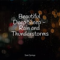 Rain While Driving - Sleep Recording Sounds & Weather Factory & Water Sounds for Sleep