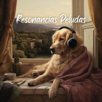 Pasos Pacíficos - Biblioteca de Música Para Mascotas