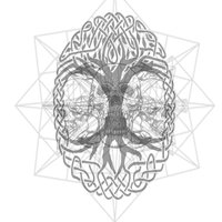 Enter Woven Roots - Jokrtherapper