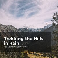Birds in Rainy Season - ASMR Rain Sounds & Rain Sounds Nature Collection & Sleepy Rain