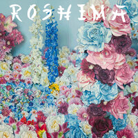 Skype - ROSHIMA